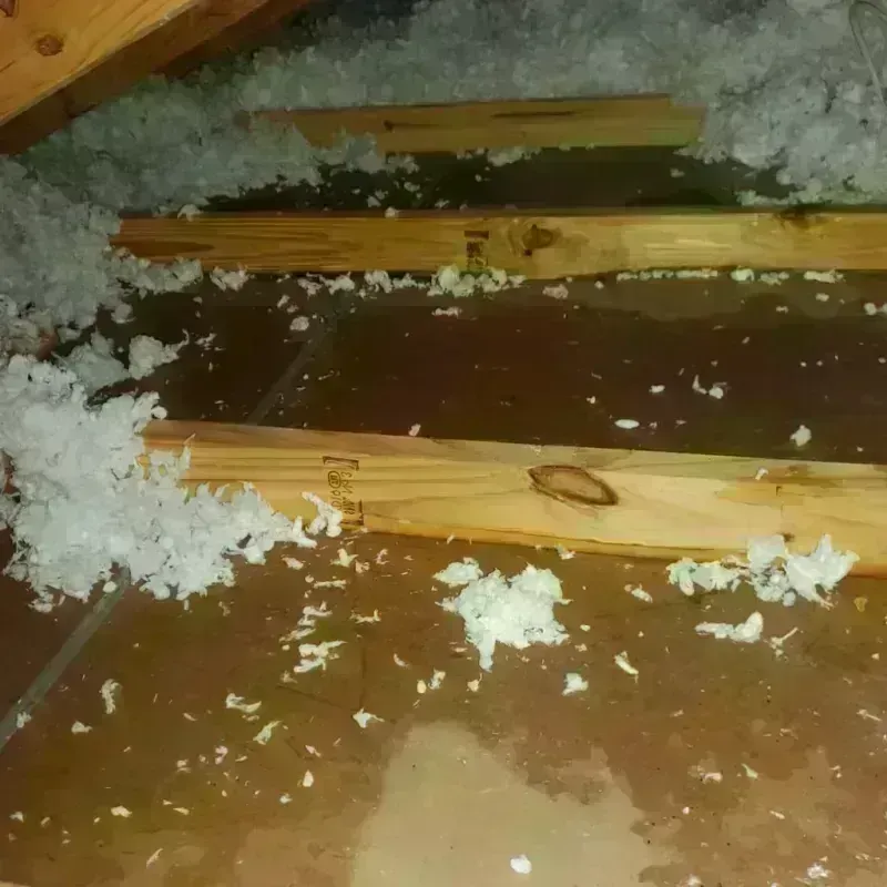 Attic Water Damage in Bloomington, IL