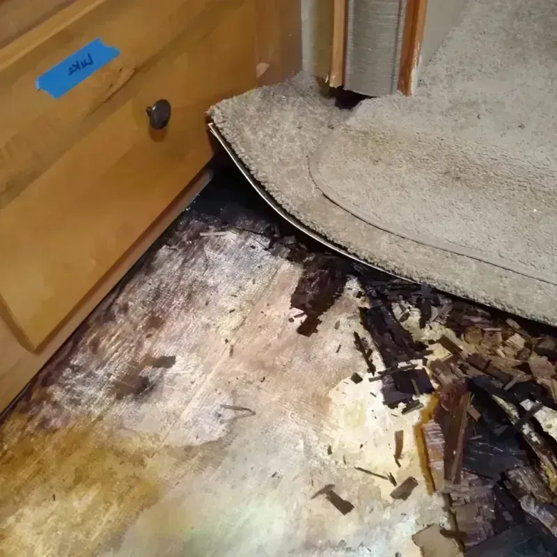 Wood Floor Water Damage in Bloomington, IL